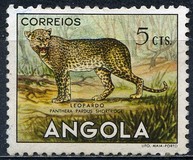 [Angolan Fauna, タイプ DA]