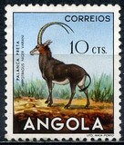[Angolan Fauna, タイプ DB]
