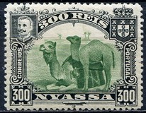 [Dromedary Camels, type D5]