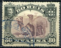 [Dromedary Camels, type D]