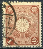 [Chrysanthemum, type AJ1]