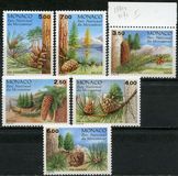 [Conifers in Mercantour National Park, type CAY]