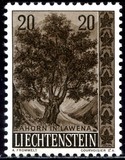 [Trees and Bushes, type KP]