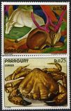 [Animal Paintings, Tipi WWJ]