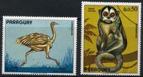 [South American Fauna, Typ AXC]