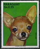 [Dogs, Typ BHA]