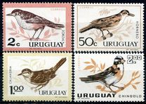 [Birds, type PE]