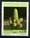 [Airmail - Cacti, Scrivi RK]