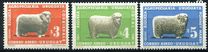 [Airmail - Uruguayan Sheep-breeding, tipas SN]