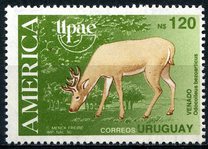 [America - The Natural World, type YQT]