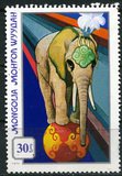 [Mongolian Circus, type ADY]