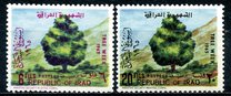 [Tree Week, Tüüp DH]