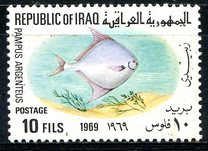 [Fish, type GV]