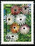 [Flowers, type YV]
