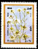[Flora, type ZU1]