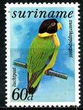 [Airmail - Birds, type AIG]