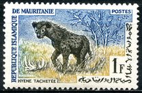 [Animals, タイプ CM]