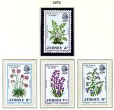 [Wild Flowers of Jersey, Tipi AK]