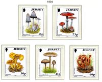 [Mushrooms, Tipo WG]