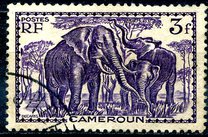 [Pictures from Cameroon, Scrivi X12]