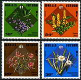 [Tropical Flowers, Вид FH]