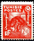 [Mosque and Olive Trees, type AB]