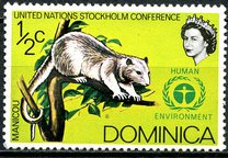 [U.N. Conference on the Human Environment, Stockholm, 类型 HO]
