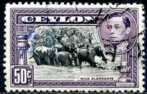 [King George VI - Local Motives, Typ BV]