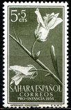 [Child Welfare - Flora, type AI]