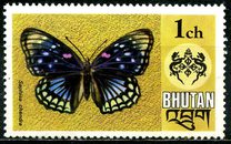 [Butterflies, τύπος VZ]