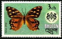 [Butterflies, τύπος WB]