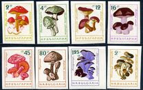 [Mushrooms - Imperforated, տեսակ ANP1]