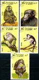 [Apes and Monkeys, Tip ABC]
