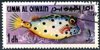 [Fish of the Arabian Gulf, type FO]