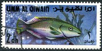 [Fish of the Arabian Gulf, type FP]