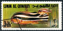 [Fish of the Arabian Gulf, type FQ]