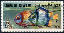 [Fish of the Arabian Gulf, Tipe GC]