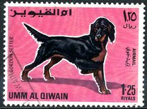 [Dogs, típus HG]