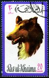 [Dogs, type TD]