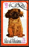 [Dogs, type TE]