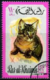 [Cats, type TM]