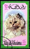 [Cats, type TJ]