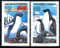 [Chilean Antarctic Territory, ประเภท AXP]