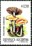 [Fungi, tegund BSB]
