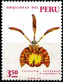 [Peruvian Flora - Orchids, tip SR]