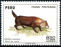 [Wildlife Protection, סוג WM]