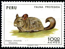 [Wildlife Protection, סוג WN]