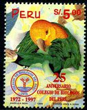 [The 25th Anniversary of Peru Biology College, 類型 APE]