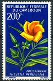 [Flowers, type HK]