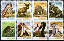 [Protected Animals, Tipo QA]
